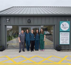 Strathearn Vets exterior with staff