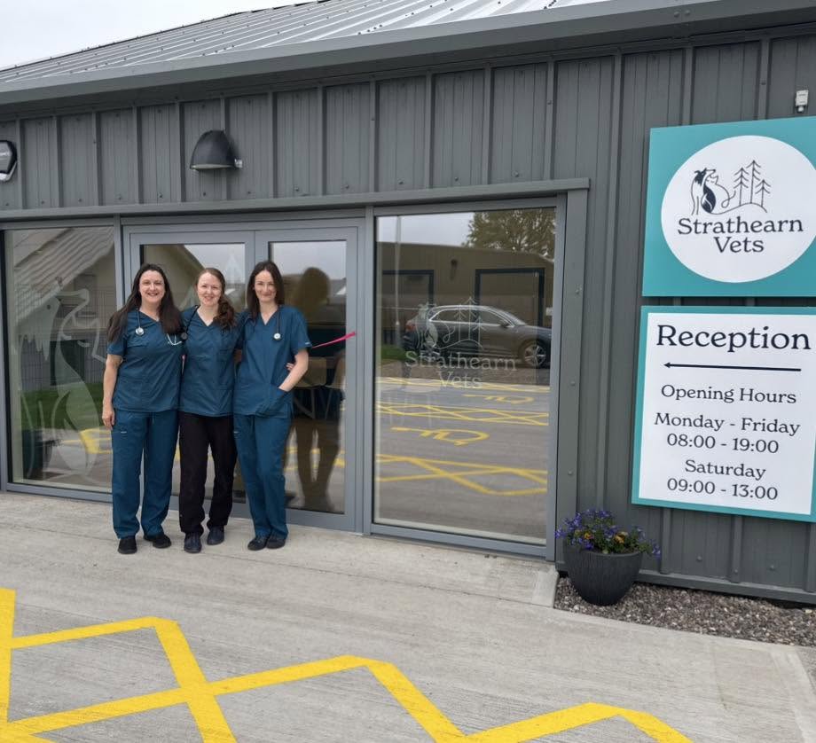 Strathearn Vets exterior with the team
