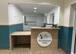 Strathearn Vets reception
