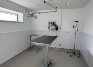 Strathearn Vets treatment room