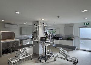 Strathearn Vets treatment room